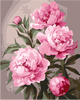 QB900-031 Set for painting by numbers "Peony"