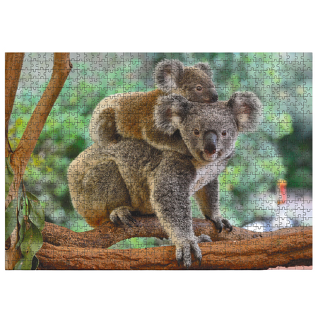 PUZZLE MAŁY KOALA I MAMA 1000 ELEMENTÓW
