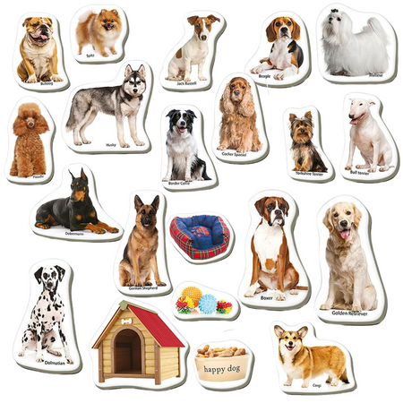ZESTAW MAGNESÓW RASY PSÓW ZWIERZĘTA REALISTYCZNE OBRAZKI ZESTAW UKŁADANKA 4031-20