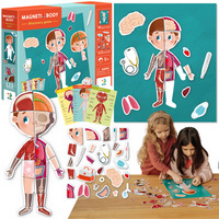 Magnetyczny Zestaw Edukacyjny Ludzkie Ciało Gra Magnetyczna Części Ciała 200220