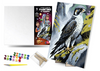 QB900-036 Set for painting by numbers "Peregrine o