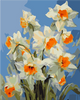 QB900-029 Set for painting by numbers "Spring daff