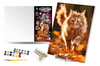 QB900-038 Kit for painting by numbers "Cat adventu