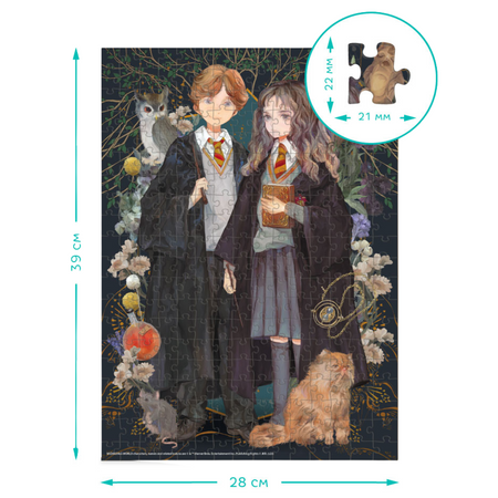 Puzzle "Harry Potter - Hermiona I Ron" Układanka 300 Elementów Czarodzieje 200499